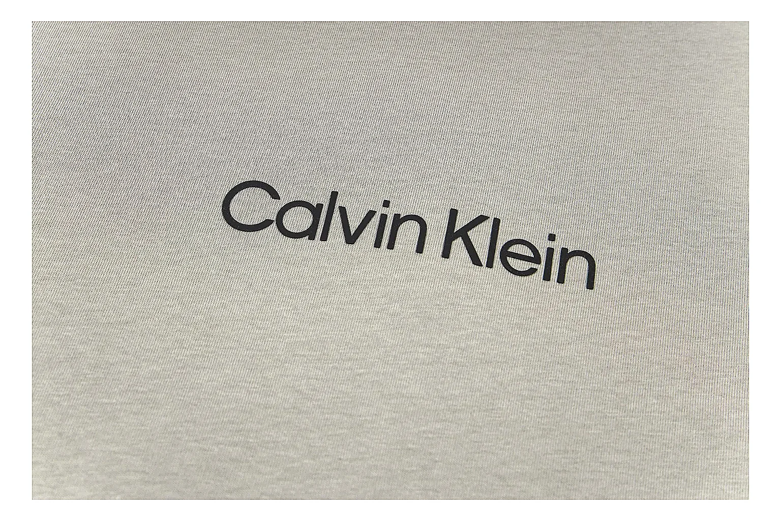 kakoqclab.com Calvin Klein Grey Logo Tee 0568 Grey short-sleeve-tee product image thumbnail 4