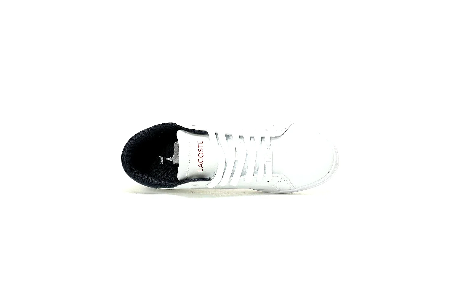 kakoqclab.com Lacoste White Logo Low Top 0284 White low-top product image thumbnail 6
